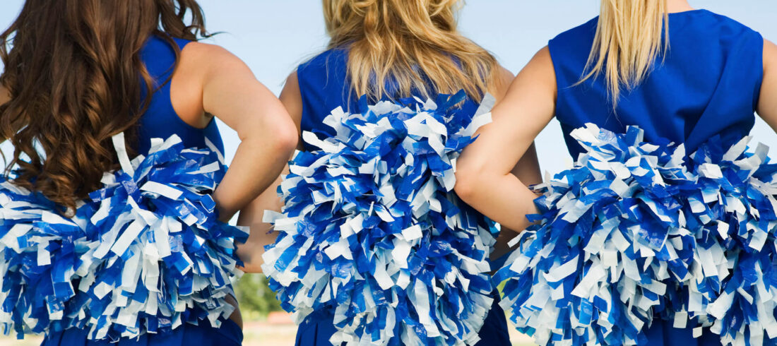 minden-wolves_cheerleader_probetraining